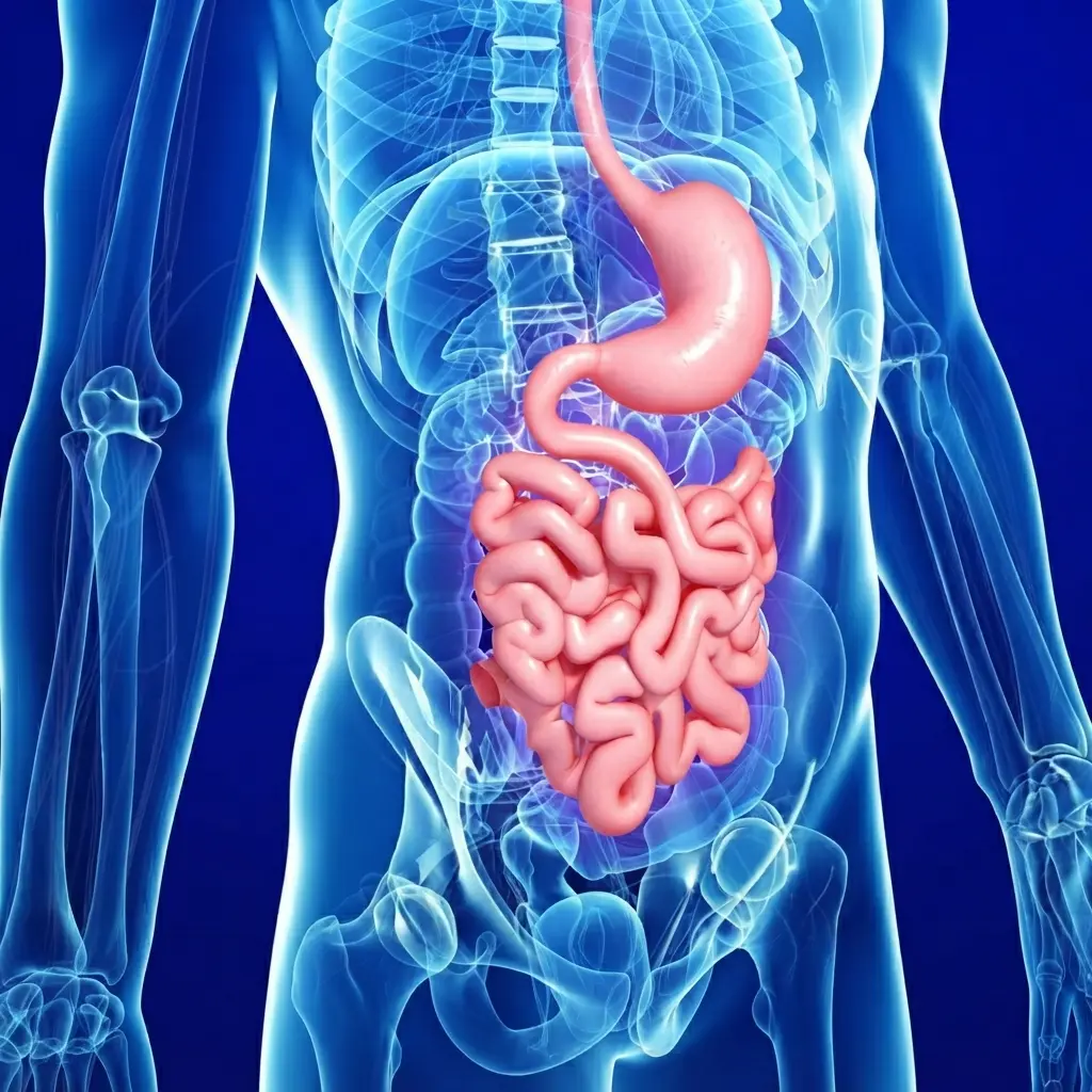 Intestine Transplant at Toronto General Hospital